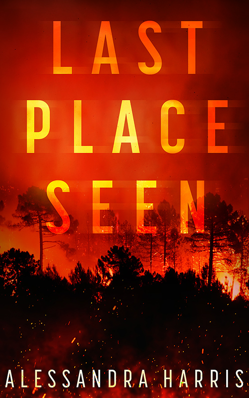 Last-Place-Seen-500x800-Cover-Reveal-and-Promotional